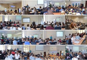 stykówka 18 zdjęć użytych w powiązanym artykule