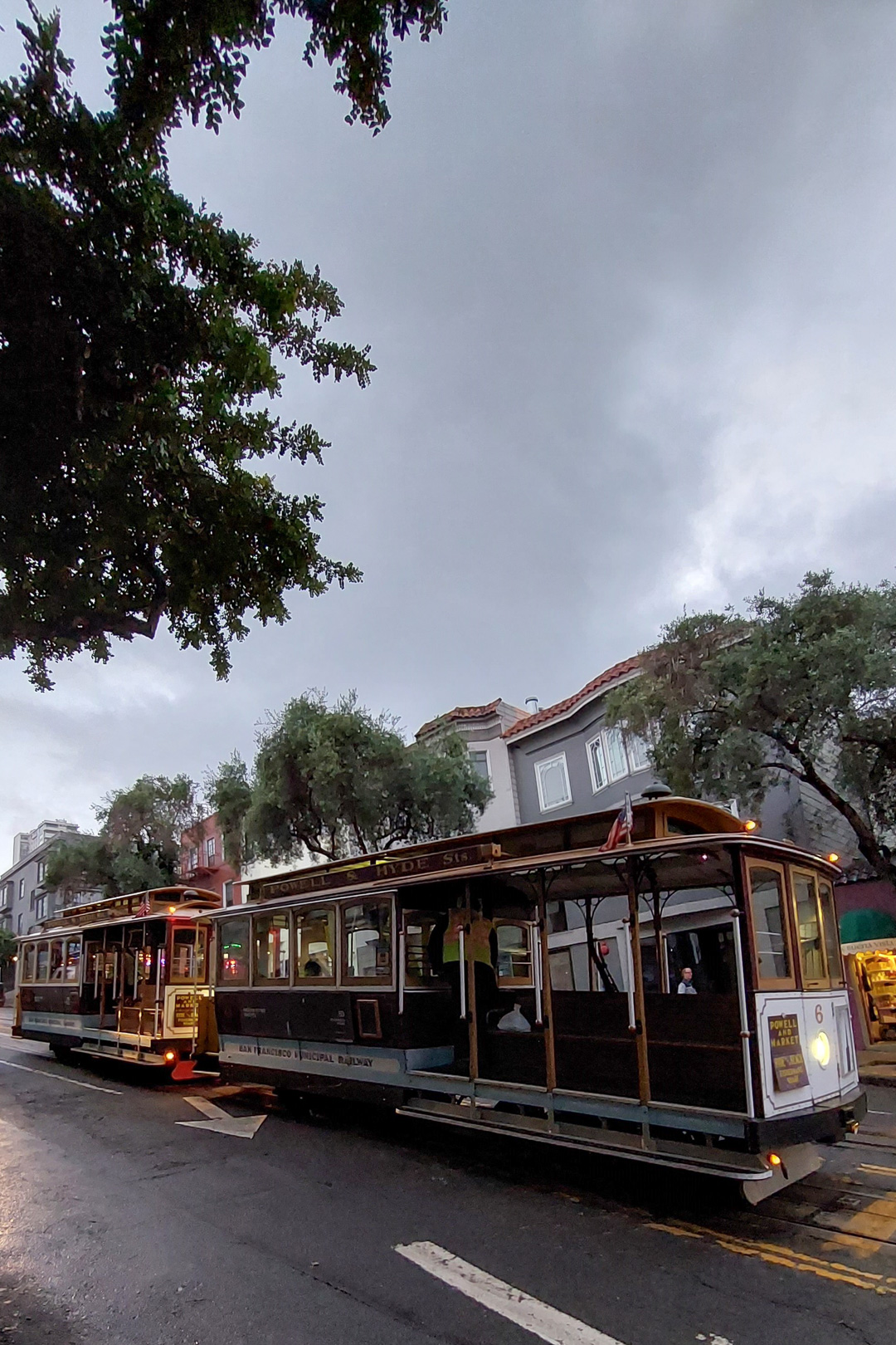 obraz: tramwaj linowy (dwa wagony), jezdnia, zachmurzone niebo, drzewo w rogu kadru