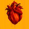 film poster for “Seeds”: an abstract image resembling a reddish fruit levitating over a plant; red caption {Seeds}; yellow background